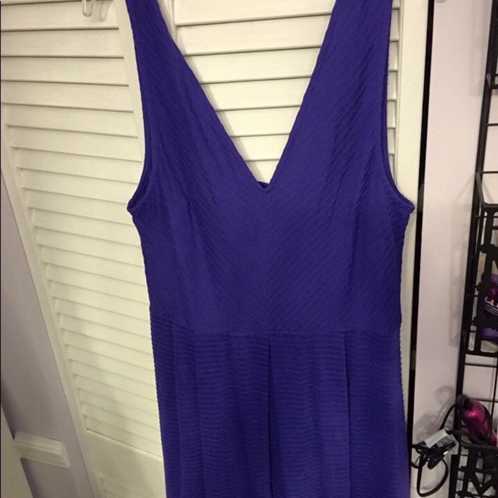 Urban Outfitter’s Women’s Purple Skater Dress